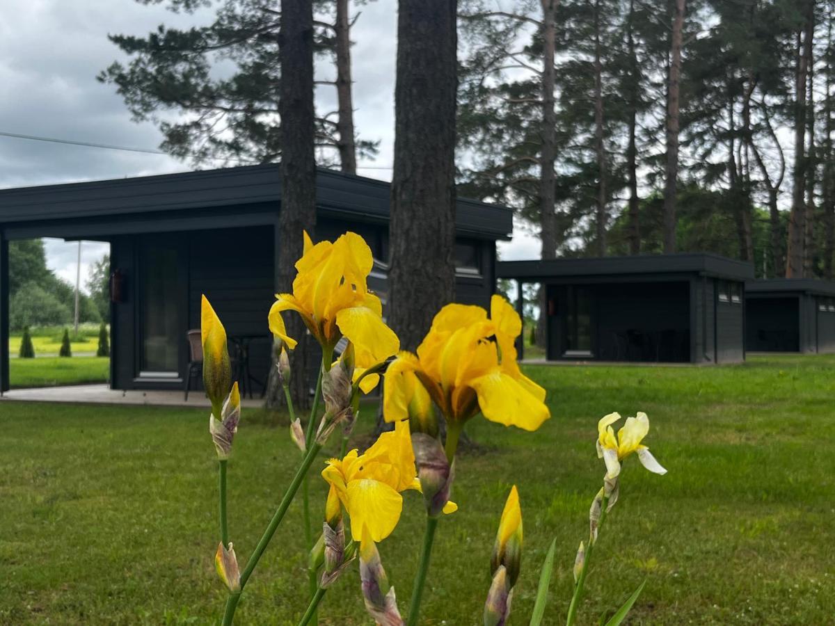 Villa Maennituka Suvetuba Kirikukula  Exterior photo